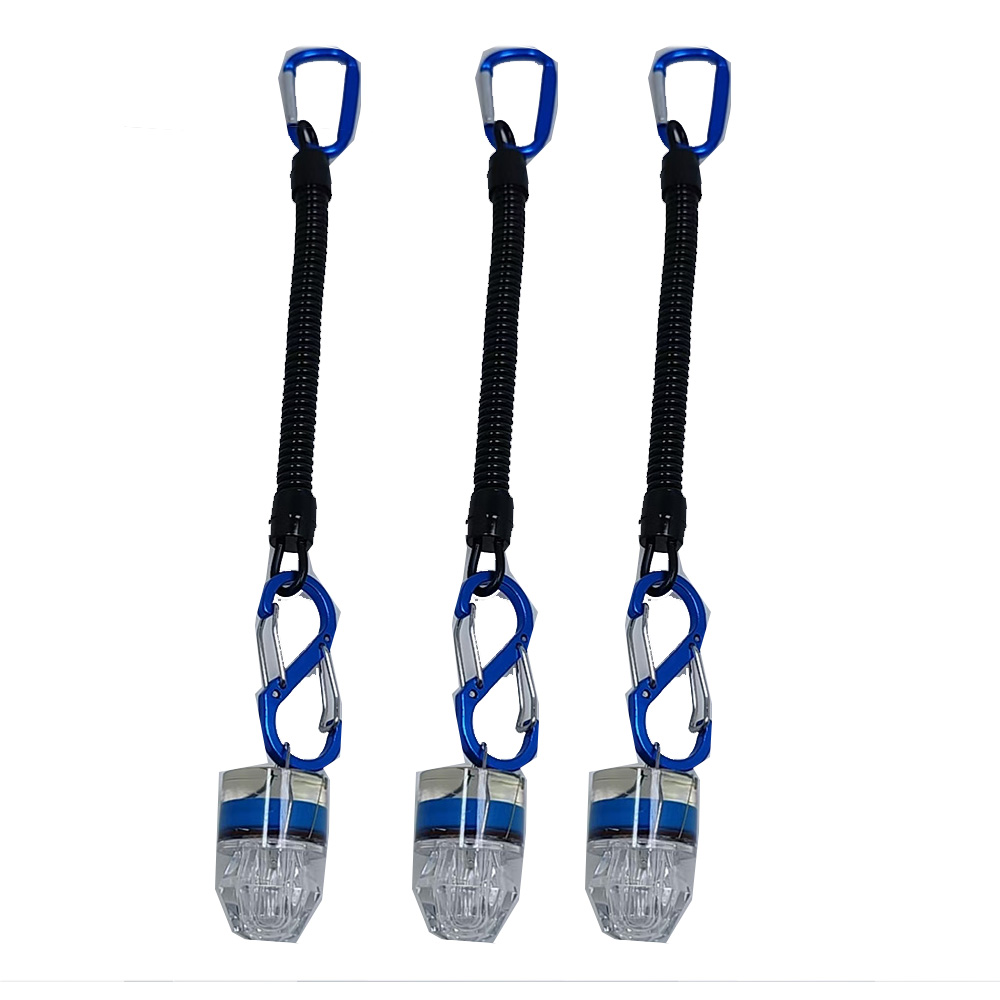 2-3 stuks LED-vislampen met to - Fish Alarm recensie en prijs